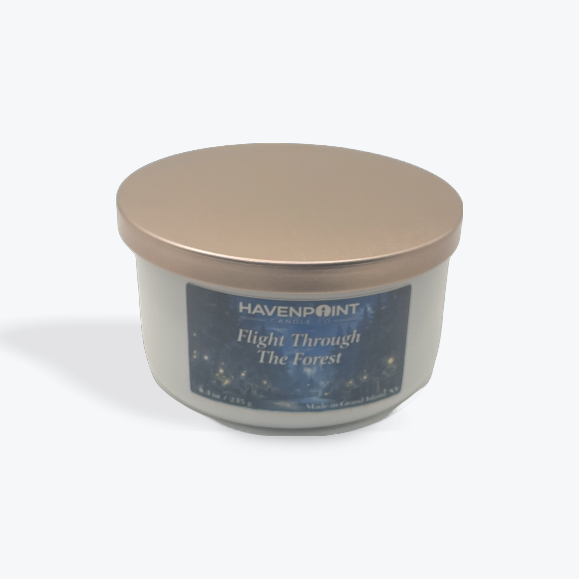 Flight Through the Forest