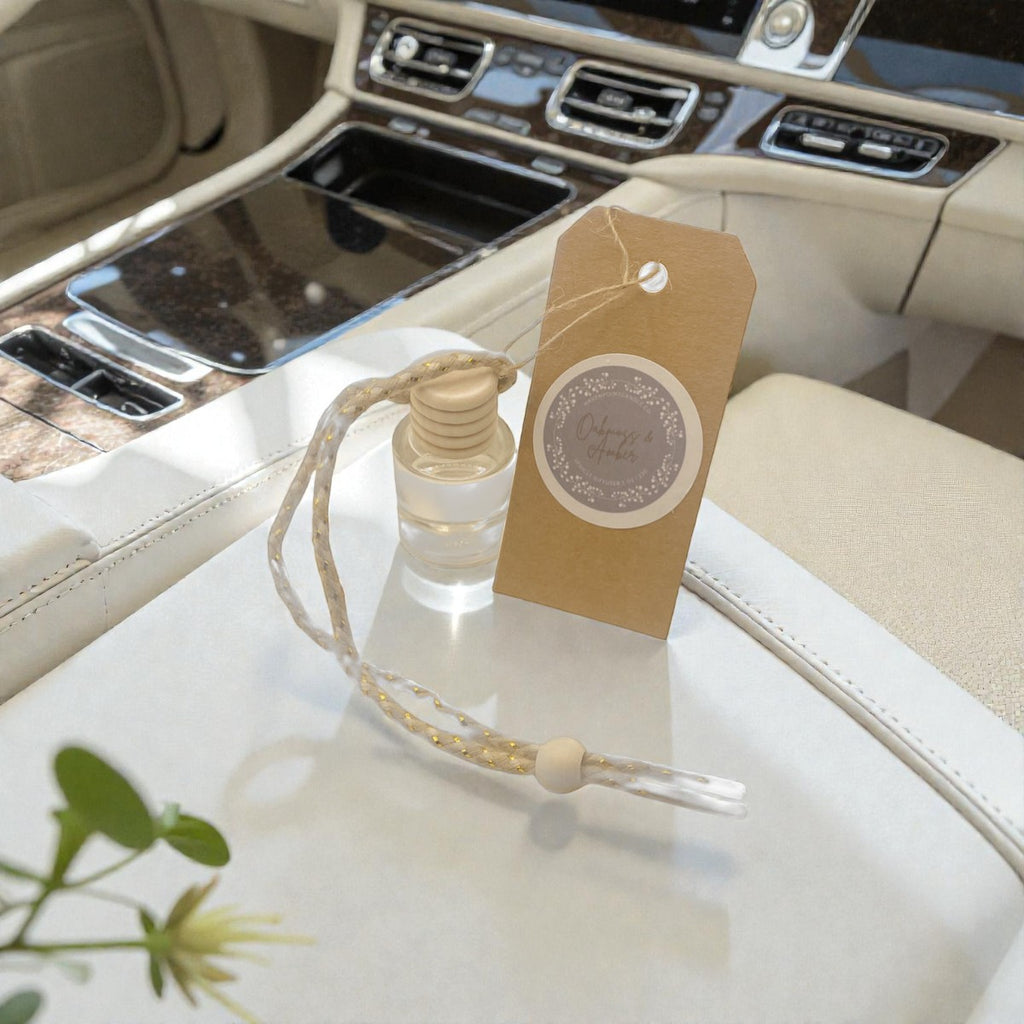 Hanging Car Diffuser
